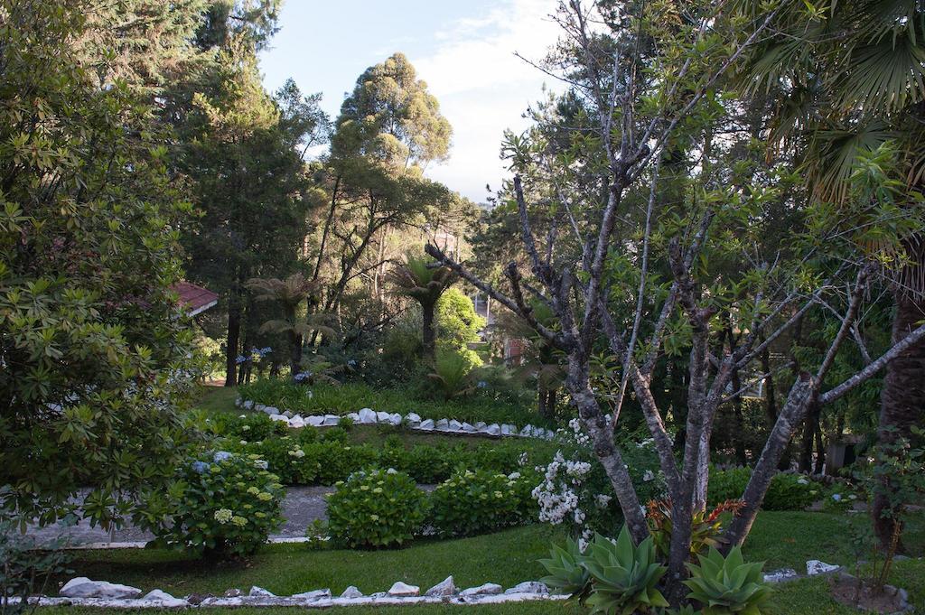Hotel Vila Regina Campos do Jordao Ngoại thất bức ảnh