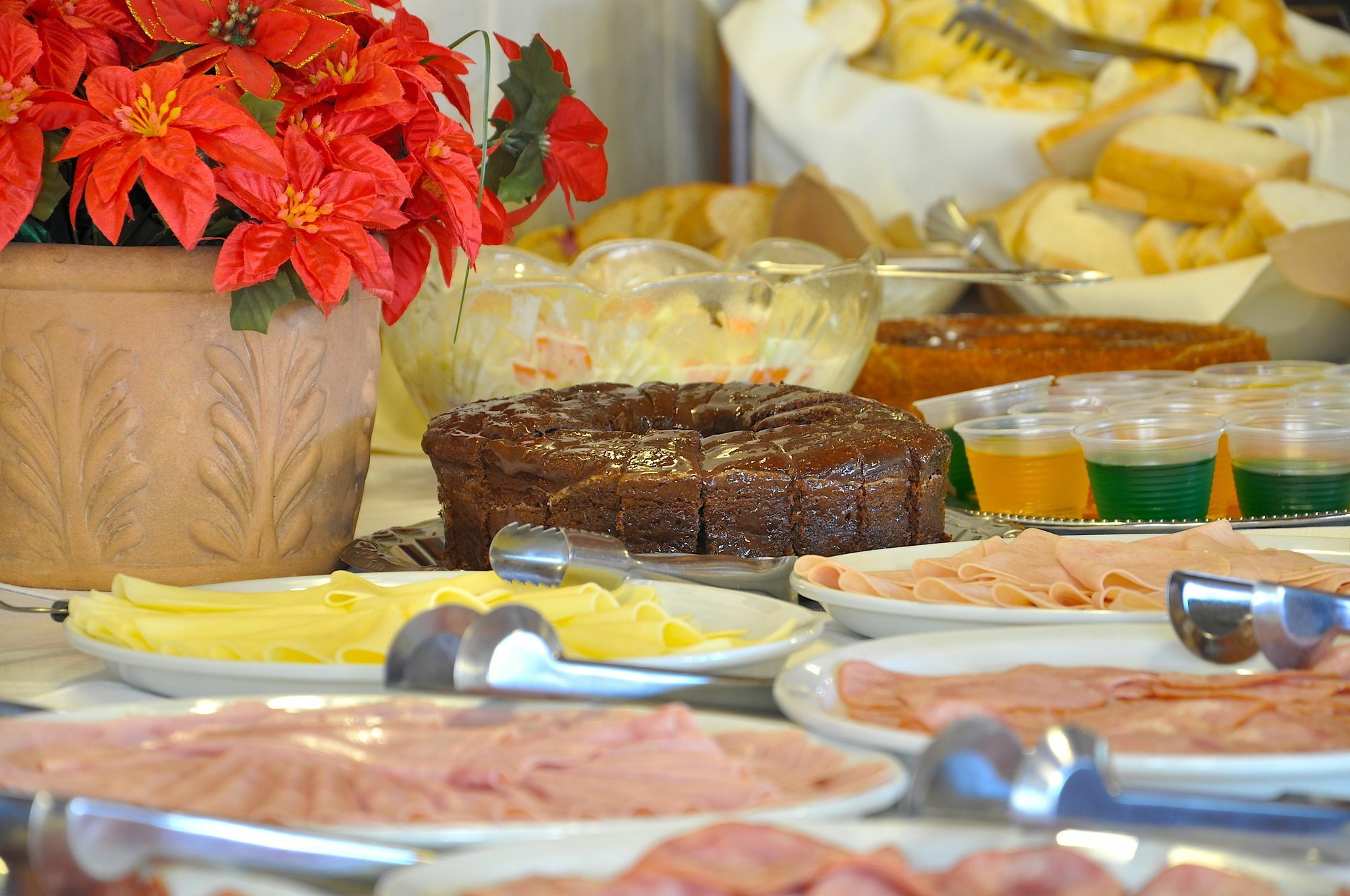 Hotel Vila Regina Campos do Jordao Ngoại thất bức ảnh